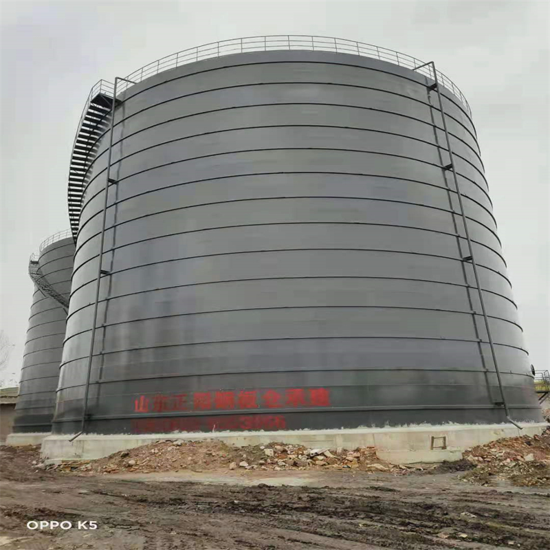 龙楼镇3万吨大型钢板库