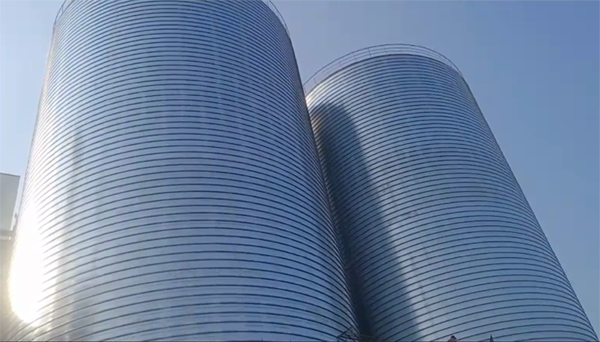 龙楼镇2座混凝土高架卷板仓